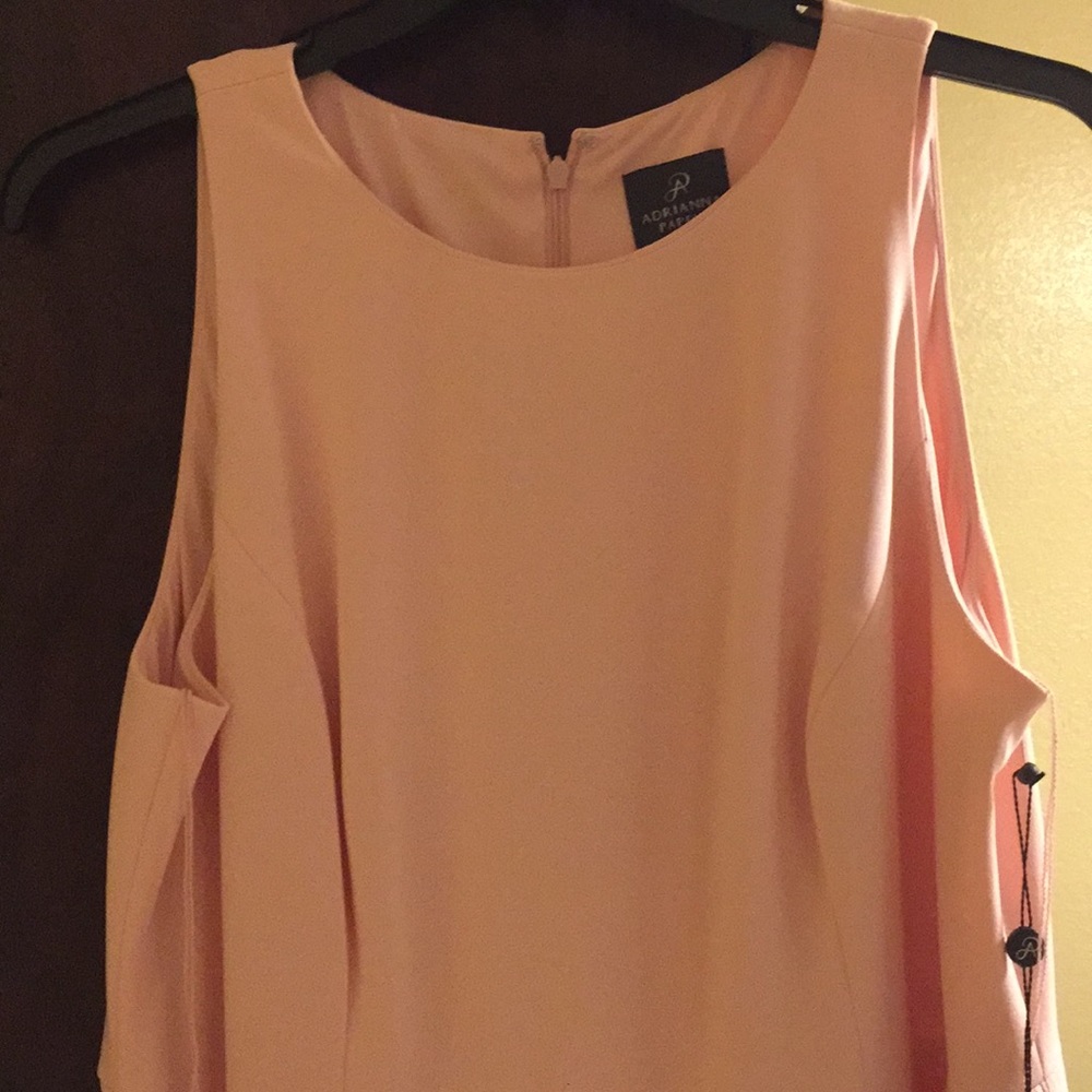 Adrianna Papell formal dress. Pale pink. Size 18W